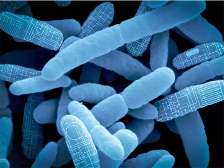 yl23455永利(集团)股份有限公司官网