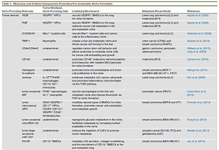 yl23455永利(集团)股份有限公司官网
