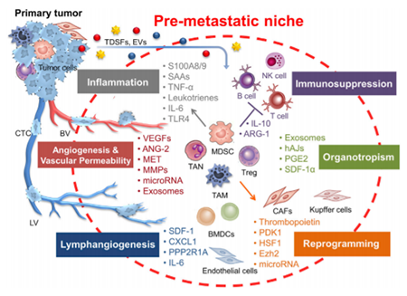 yl23455永利(集团)股份有限公司官网