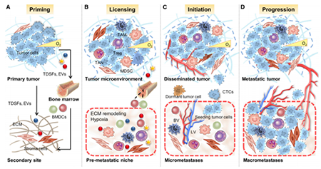 yl23455永利(集团)股份有限公司官网