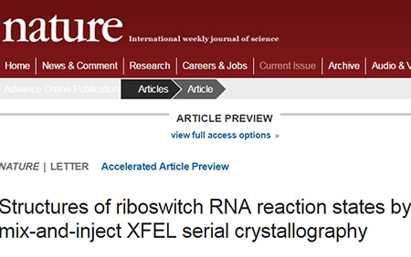 yl23455永利(集团)股份有限公司官网