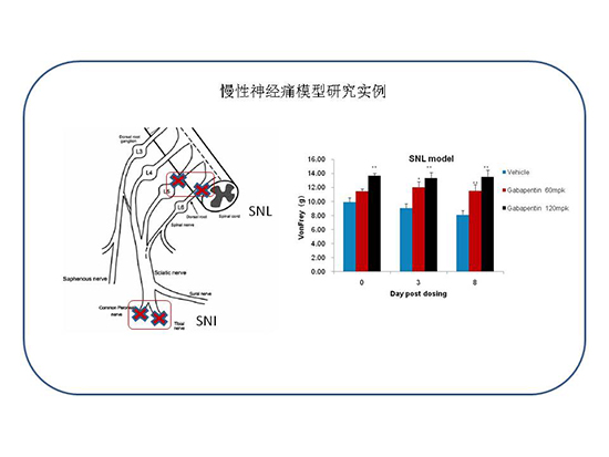 yl23455永利(集团)股份有限公司官网