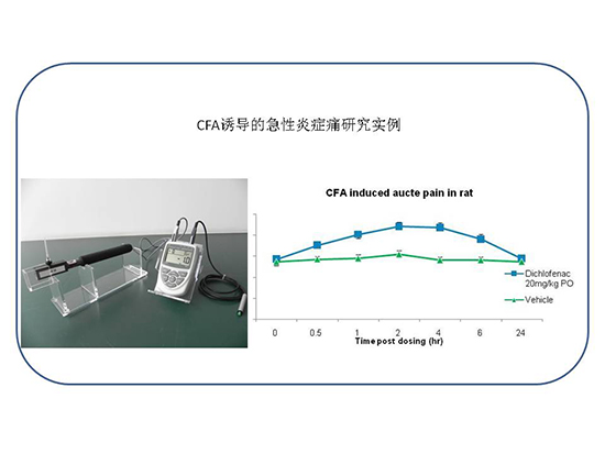 yl23455永利(集团)股份有限公司官网