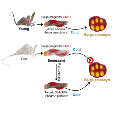 yl23455永利(集团)股份有限公司官网