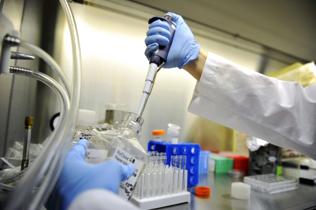 yl23455永利(集团)股份有限公司官网