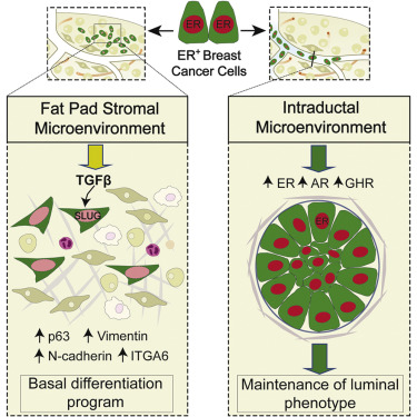 yl23455永利(集团)股份有限公司官网