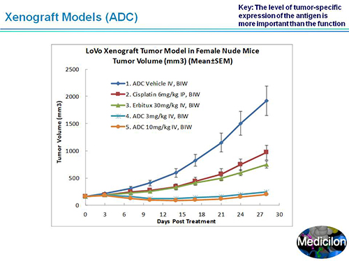 yl23455永利(集团)股份有限公司官网