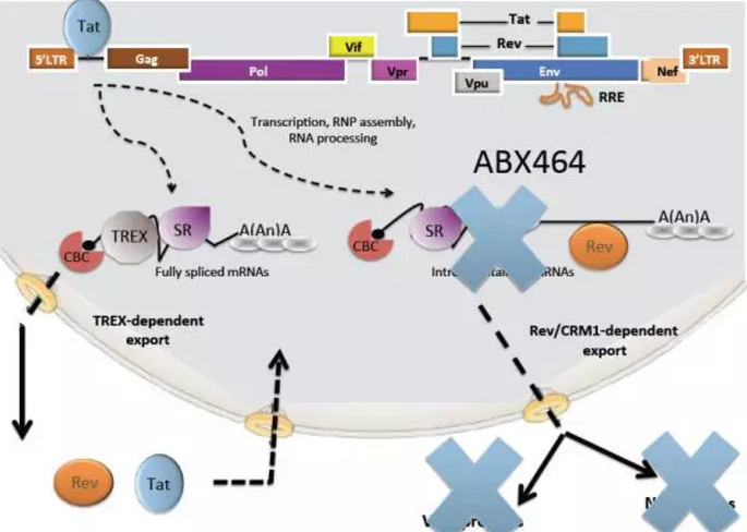 yl23455永利(集团)股份有限公司官网
