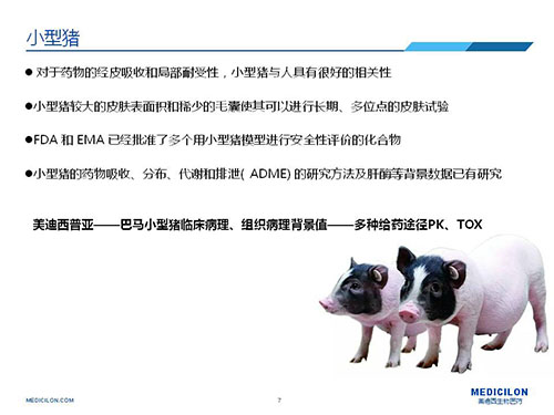 皮肤涂抹试验中，，，，受试动物选择小型猪更好