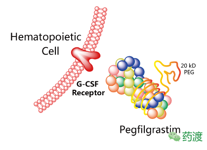 yl23455永利(集团)股份有限公司官网