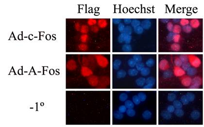 yl23455永利(集团)股份有限公司官网