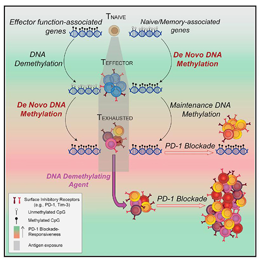 yl23455永利(集团)股份有限公司官网