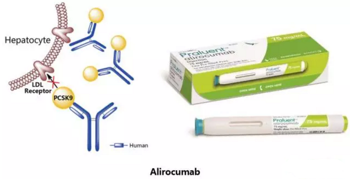 yl23455永利(集团)股份有限公司官网