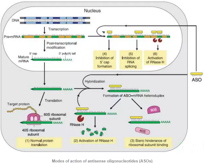 yl23455永利(集团)股份有限公司官网