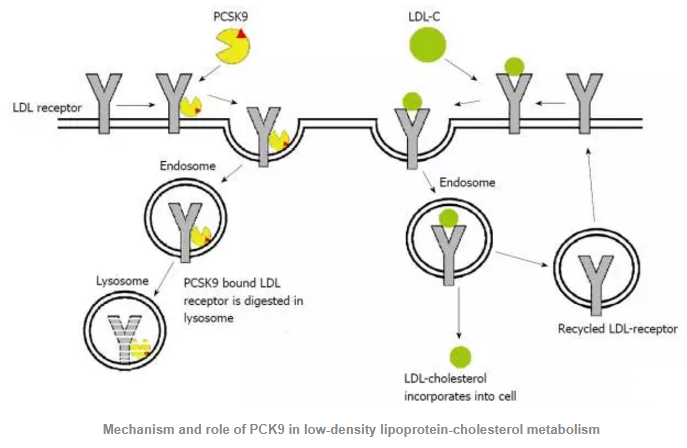 yl23455永利(集团)股份有限公司官网