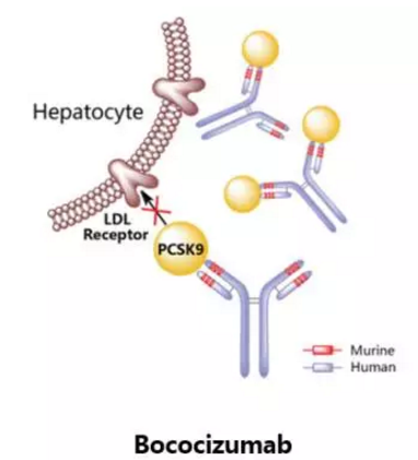 yl23455永利(集团)股份有限公司官网