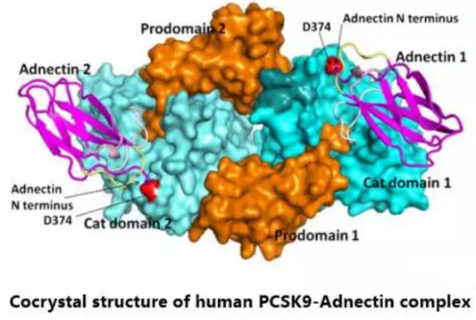 yl23455永利(集团)股份有限公司官网