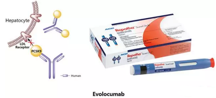 yl23455永利(集团)股份有限公司官网