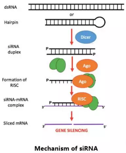 yl23455永利(集团)股份有限公司官网