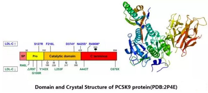 yl23455永利(集团)股份有限公司官网