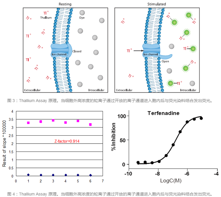yl23455永利(集团)股份有限公司官网