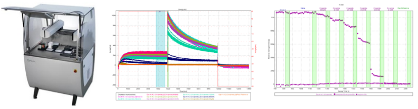 yl23455永利(集团)股份有限公司官网