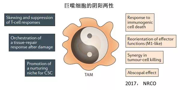 yl23455永利(集团)股份有限公司官网