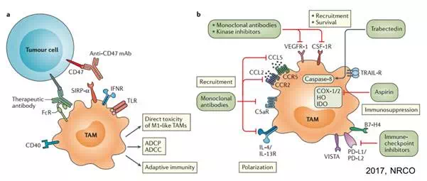 yl23455永利(集团)股份有限公司官网