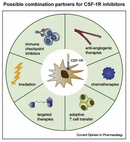 yl23455永利(集团)股份有限公司官网