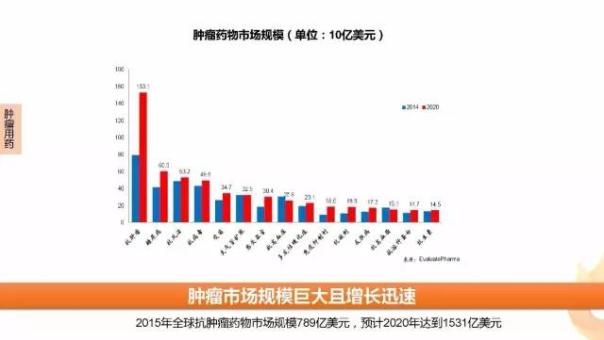 yl23455永利(集团)股份有限公司官网