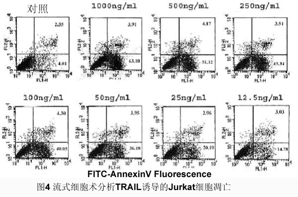 yl23455永利(集团)股份有限公司官网