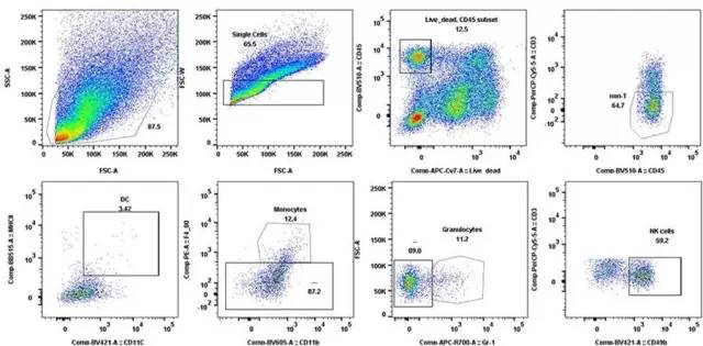 yl23455永利(集团)股份有限公司官网