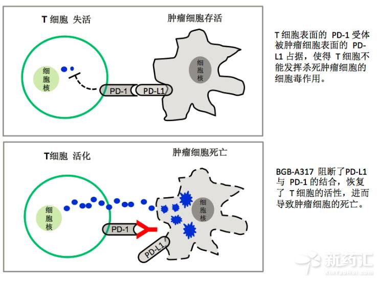 yl23455永利(集团)股份有限公司官网