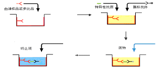 yl23455永利(集团)股份有限公司官网