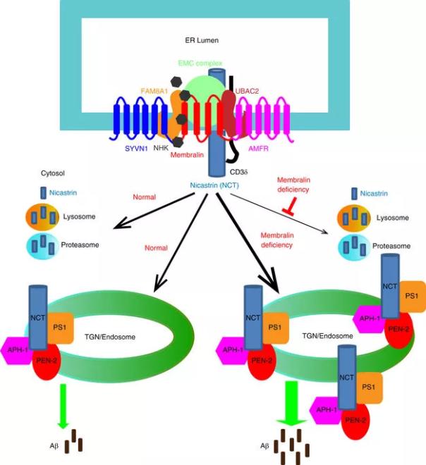 yl23455永利(集团)股份有限公司官网