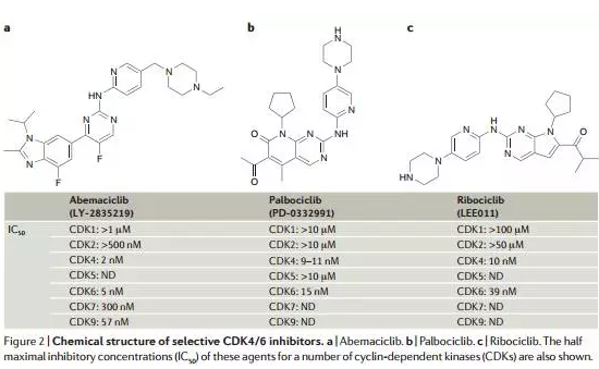 yl23455永利(集团)股份有限公司官网