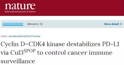 yl23455永利(集团)股份有限公司官网