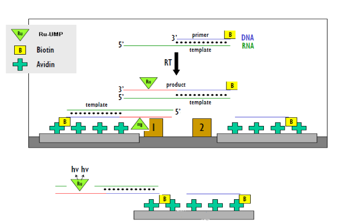 yl23455永利(集团)股份有限公司官网