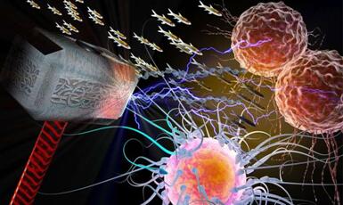 yl23455永利(集团)股份有限公司官网