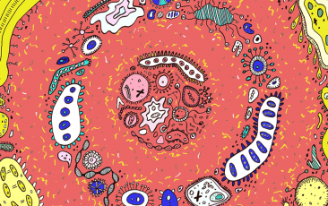 yl23455永利(集团)股份有限公司官网