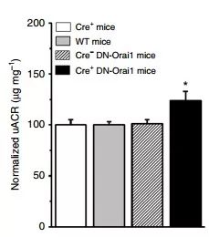 yl23455永利(集团)股份有限公司官网