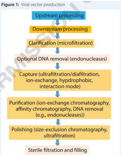 yl23455永利(集团)股份有限公司官网