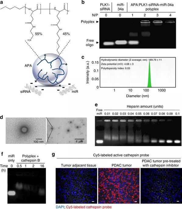yl23455永利(集团)股份有限公司官网