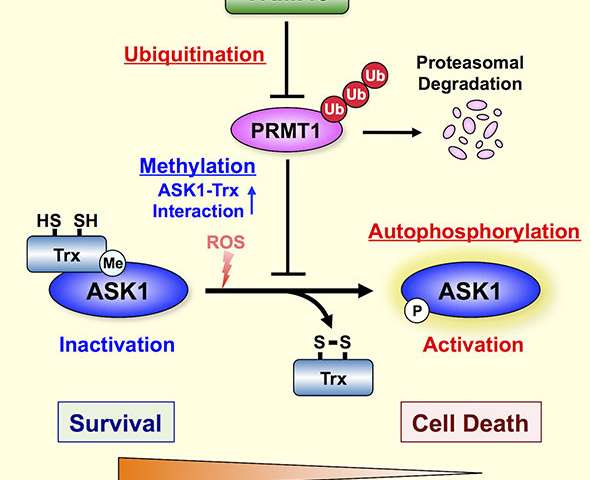yl23455永利(集团)股份有限公司官网