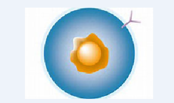 yl23455永利(集团)股份有限公司官网