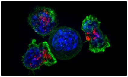 yl23455永利(集团)股份有限公司官网