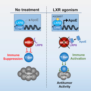 yl23455永利(集团)股份有限公司官网