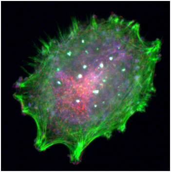 yl23455永利(集团)股份有限公司官网
