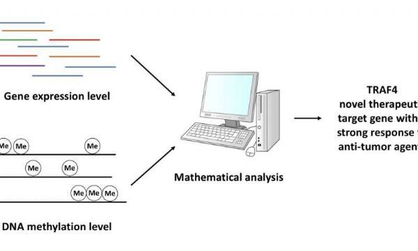 yl23455永利(集团)股份有限公司官网