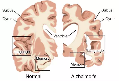 yl23455永利(集团)股份有限公司官网